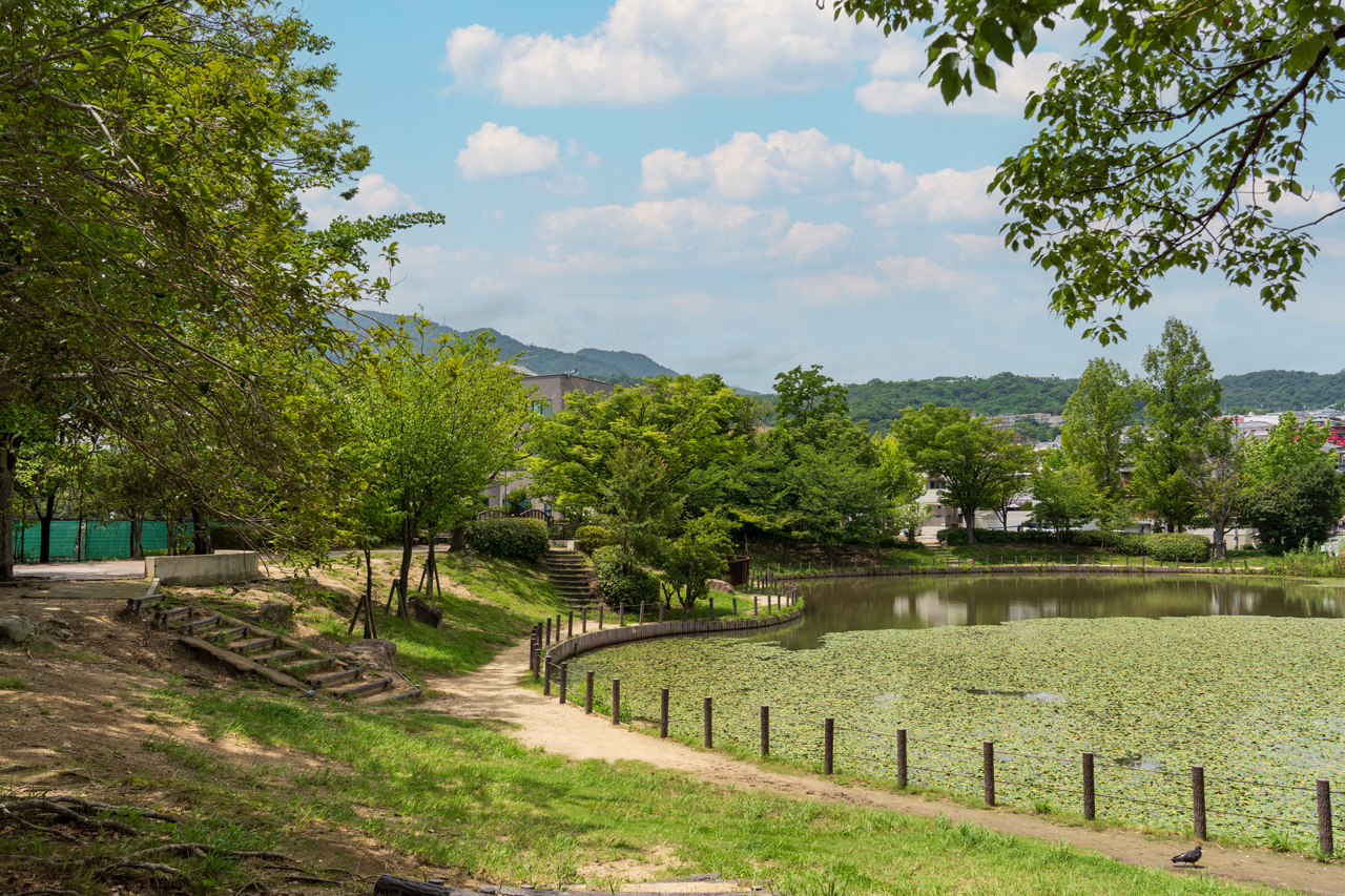 樋之池公園の写真