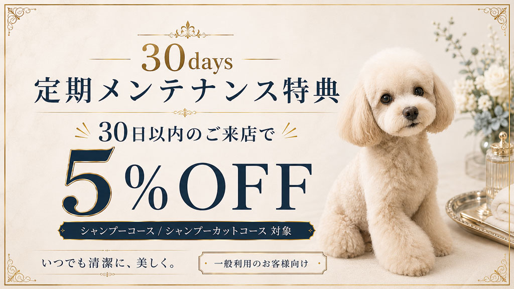 30日以内のご来店で5％OFF