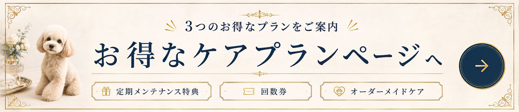 お得なケアプランページへ
