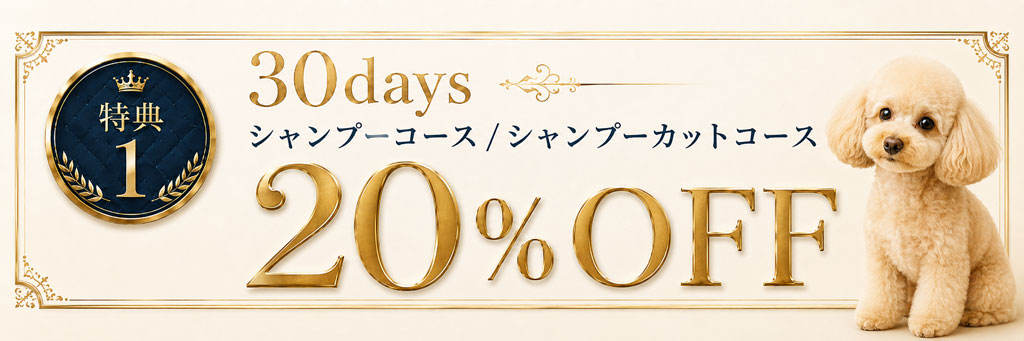 30days - シャンプーコース/シャンプーカットコース 20%OFF